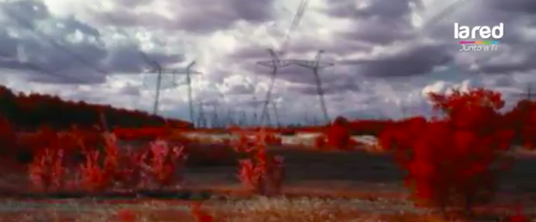 Bosques Rojos ¡Misterioso