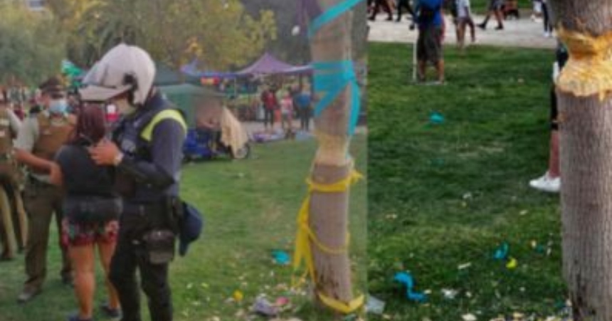 Ritual peruano terminó con árbol talado en Parque de Los Reyes ...